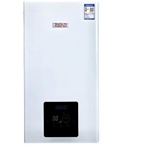 China Europe Popular Wall Mount Gas Boiler Home High Efficiency Wall Hung Boiler factory