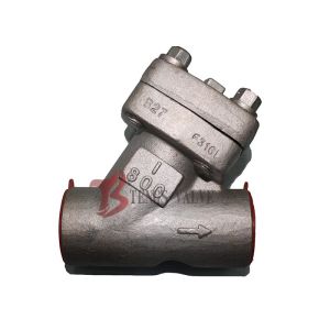 China Forged Y Type Strainer Stainless Steel A182 F316L 800LB SS316 Screen Socket Weld / Threaded factory