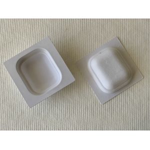 ThinWalled Biodegradable Pulp Tray Wet Press Smooth Both Side