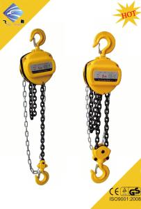 China CHAIN PULLEY BLOCK 5TON factory