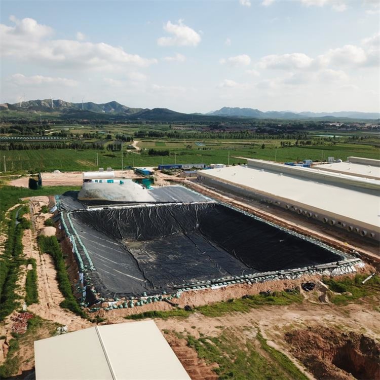 Double Smooth HDPE Geomembrane for Fish Ponds 1.25mm/2mm/4mm Thickness Shandong Exporter