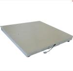 Stainless Steel Electronic 4Ah Floor Weighing Scale