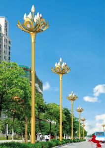 China White LED light Street Lights Outdoor Column Post Lights 80W-240W 160lm/W 6500K Working environment temperature -20℃~+50 factory