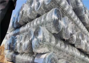 China Animal Farms 1x1 25x25mm Galvanised Welded Wire Mesh factory
