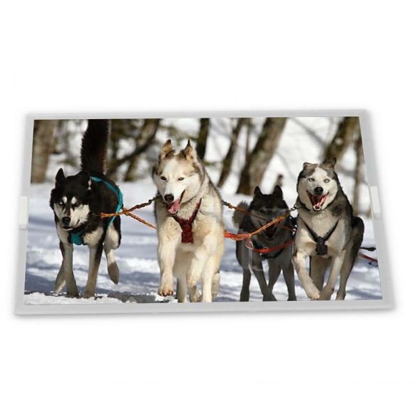 China Industrial Control Screen 31 Pins Interface 6.5 Inch Tft Lcd Display AA065VD11 Lcd Panel factory