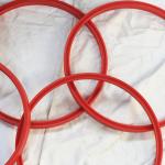 PU Material 36*46*6 UNS Piston Rod Seal Hydraulic Seals with 20-90 Shore A