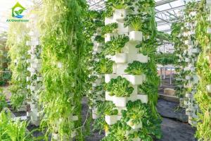 China Environment Friendly Soilless Hydroponic System 75*50mm NFT Lettuce System factory