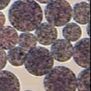 China Agarose NHS Magnetic Beads Preactivated N - Hydroxy Succinimide Nanoparticle factory