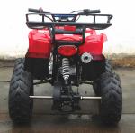 110cc Big Frame Youth Four Wheelers Chain Drive 7"Big Tires Reverse Gear