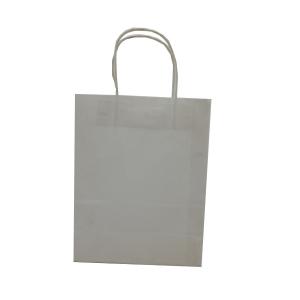 China Unisex Handle Paper Bag , Rectangle Small Kraft Bags With Handles factory