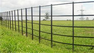 China Traditional Security Steel Palisade Fencing Simple Structure Low Maintenance factory