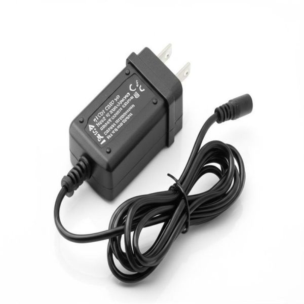 110V-220V Input Voltage 5V-48V Output Voltage AC DC Power Adapter with 1 Year