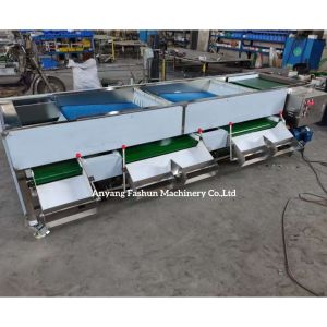 Blueberry sorting machine, Blueberry grading machine, blueberry classification