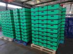 50kg Corrugated Plastic Moving Boxes Crates Hollow Sheet Turnover Box Plastic