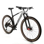 29 Inch Carbon Fiber MTB Bike Bicycle SHIMANO XT 24S Hydraulic Brake
