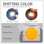 High Lumen Output Dual Color COB LED 200W 200W 300W 300W 3838 5454 6050 Chip
