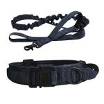 Personalized Custom Luxury Designer Nylon Metal Heavy Duty Training Pet Rope