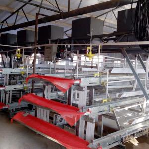 China 3 Tiers A Type Hot Dipped Battery Chicken Layer Cages Automatic Feeding System factory