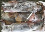 Whole Round Frozen Squid Tubes Dosidicus Gigas Bqf Good Freshness Peru Giant