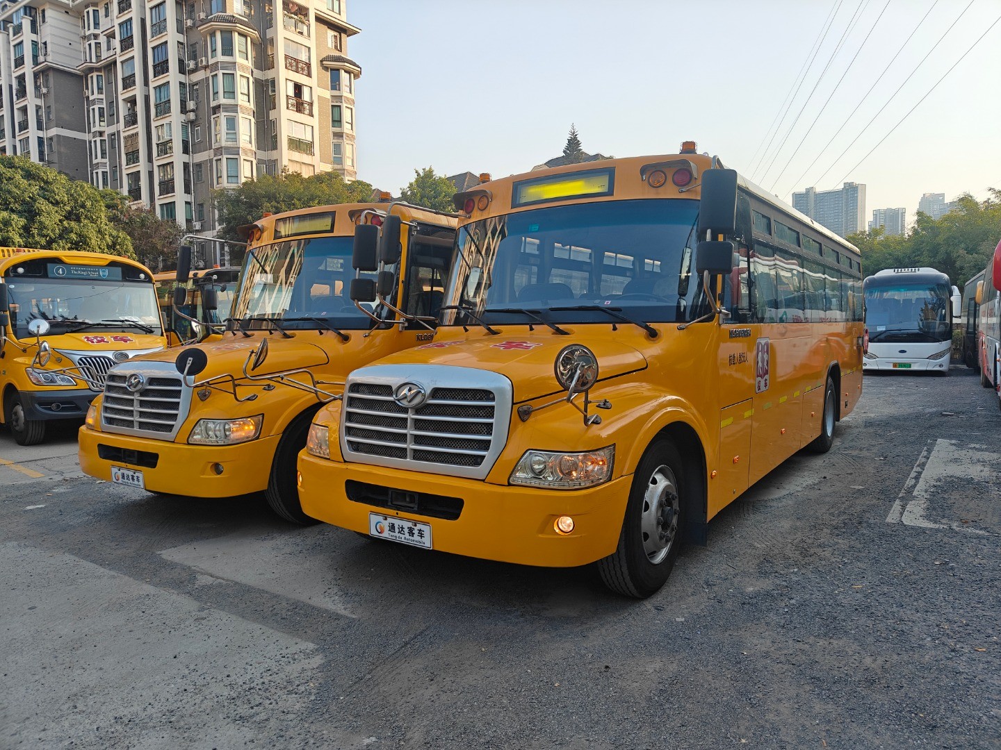 56 Seater Used Yellow School Bus with Wheelchair Lift and Diesel Fuel Great