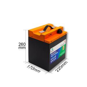 China Grade A LifePO4 Motorcycle Battery Power Long Lifespan For Golf Cart factory