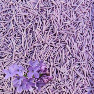 China Highly Absorbent Tofu Clumping Cat Litter OEM ODM Eco Friendly Kitty Litter factory
