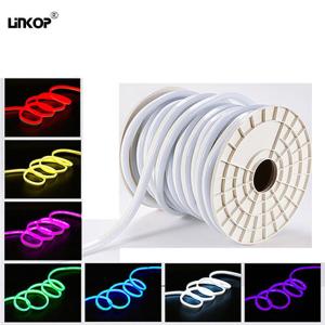 China Flexible Led Neon Light Rgb for Outdoor Waterproof 220v 10*20 Lighting Sign factory