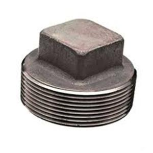 China ASTM A182 F316L Round head NPT thread plug factory