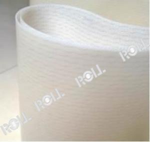 China PE Conveyor Belt 1-11mm Size Iso9001 Certificated For Food Industry factory