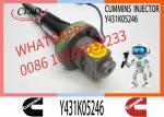 High Quality Diesel Fuel Injector Y 431 K05 246 for QSK19 38 50 60 Injector