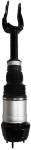 1663202513 Air Suspension Parts Air Suspension Strut