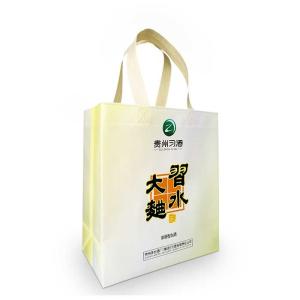 China PP 85Gsm Non Woven Eco Bag Handle With Heat Transfer Printing factory