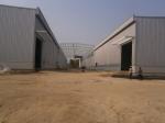 Food Workshop Q355B Steel Frame Building Construction Prefabricated Steel