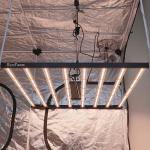 Samsung 3500K 660nm 730nm 800W LED Grow Lights Full Spectrum Type