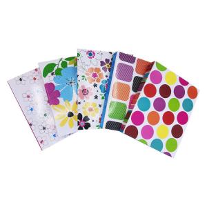China PP Folder Wholesaler Customized Colourful Cover Clip 3 Holes A4 File Folder for Office factory