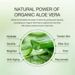 Sooth Aloe Vera Lotion Facial Emulsion Lotion For Dry Sensitive Skin ODM
