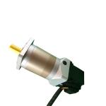 12v 200w Dc Planetary Gear Motor High Torque Low Rpm For Motor Boat Kids