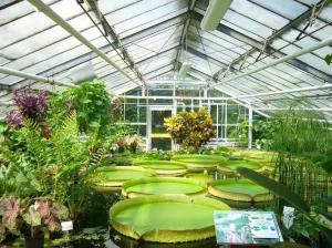 China 4mm tempered greenhouse glass factory