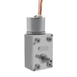 China Micro Electric Dc Brushless Motor 300rpm 25w CCC With Worm Gear factory
