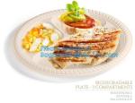 Eco Friendly Biodegradable Sugarcane Bagasse Plates Disposable,Sugarcane Bagasse