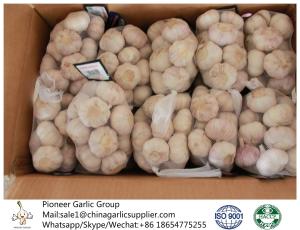 China 2018 China fresh garlic export to Brazil factory