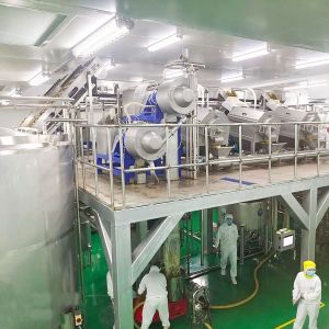 5 - 50T/H Fresh Mango Pulp Plant Automatic Separation Juice Processing