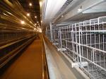 2024 Hot Galvanized Hens Cage Automatic Poultry Farming Equipment Battery Cage