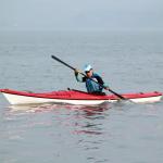 Hot Selling Single Fishing Kayak Cheap Custom Mold Kayak Fishing Sit in Kayak
