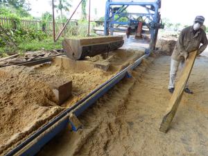 China Log Cutting Saw Swing Twin Blade Sawmill Portable Circular Saw Mill Machine Dia 760mm factory