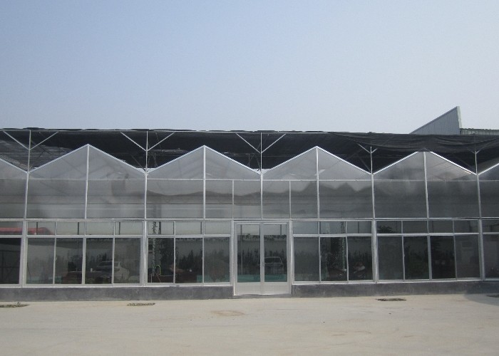 9.6m Span Venlo Pc Sheet Greenhouse Galvanized Steel Framework Green House Used For Agricuture