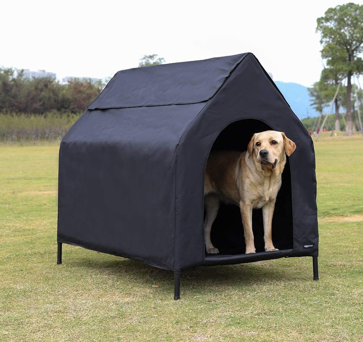 xl elevated dog bed 