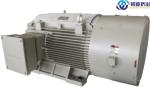PET PLA Plastic Sheet Furniture Veneer Production Line Extruder Single Twin