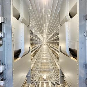 China 4-8 Tier Layer Egg Cages Chicken Battery Poultry Farm factory