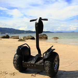 China Smart Balance Wheel Segway Electric Scooter , 2 Wheels Electric Chariot Scooter factory